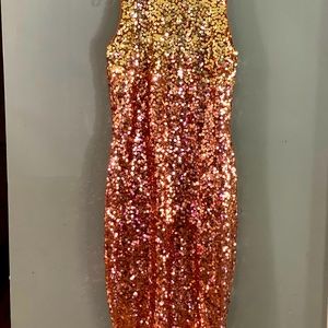 Brand New New York and company dress